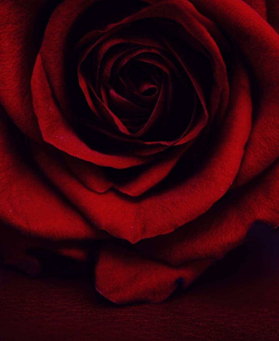 Anniversary